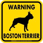 画像3: [MAGSIGN] WARNING BOSTON TERRIER マグネット＆ステッカー：ボストンテリア(ホワイト/イエロー/オレンジ) 注意 英語 正方形 車＆屋外用(防水性/耐光性) 日本製 (3)