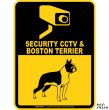 画像1: ボストンテリア＆防犯カメラ 監視 警戒中 英語 マグサイン(マグネット/ステッカー)：SECURITY CCTV ＆ BOSTON TERRIER [MAGSIGN] (1)
