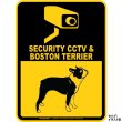 画像2: ボストンテリア＆防犯カメラ 監視 警戒中 英語 マグサイン(マグネット/ステッカー)：SECURITY CCTV ＆ BOSTON TERRIER [MAGSIGN] (2)