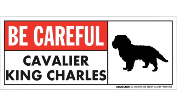 画像1: [MAGSIGN] キャバリアキングチャールズ マグネット＆ステッカー (犬)気を付けて 英語 BE CAREFUL CAVALIER KING CHARLES 対象:車(ドア/ガラス/ボディ)・屋外(玄関扉/窓ガラス/メールポスト) 日本製 (1)