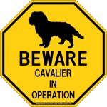 画像1: [MAGSIGN] キャバリア 注意 英語 英文 ローマ字 オペレーション中 動作中 オクタゴン(八角形)マグネット＆ステッカー BEWARE CAVALIER IN OPERATION 車/屋外用 日本製 (1)
