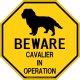 シルエット