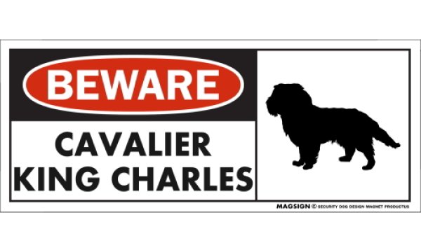 画像1: [MAGSIGN] キャバリアキングチャールズ マグネット＆ステッカー 犬 注意 英語 BEWARE CAVALIER KING CHARLES 対象:車(ドア/ガラス/ボディ)・屋外(玄関扉/窓ガラス/メールポスト) 日本製 (1)