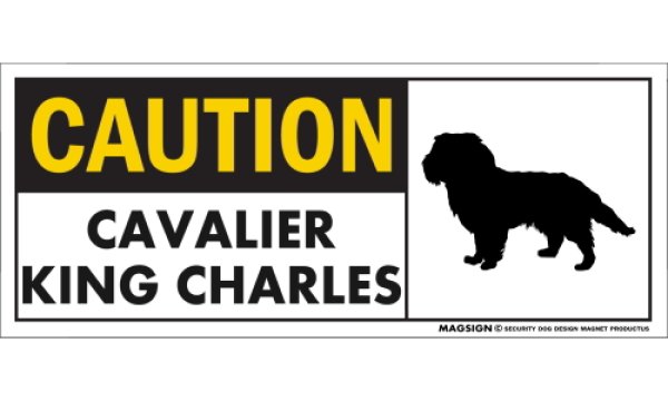 画像1: [MAGSIGN] キャバリアキングチャールズ マグネット＆ステッカー 英語 警戒 CAUTION CAVALIER KING CHARLES 対象:車(ドア/ガラス/ボディ)・屋外(玄関扉/窓ガラス/メールポスト) 日本製 (1)