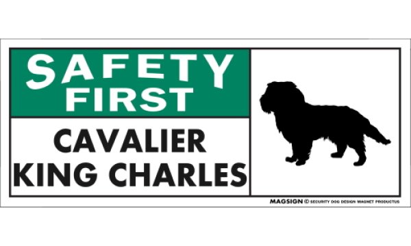 画像1: [MAGSIGN] キャバリアキングチャールズ マグネット＆ステッカー 英語 安全第一 SAFETY FIRST CAVALIER KING CHARLES 対象:車(ドア/ガラス/ボディ)・屋外(玄関扉/窓ガラス/メールポスト) 日本製 (1)