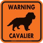 画像4: [MAGSIGN] WARNING CAVALIER マグネット＆ステッカー：キャバリア(ホワイト/イエロー/オレンジ) 注意 英語 正方形 車＆屋外用(防水性/耐光性) 日本製 (4)