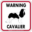 画像4: [MAGSIGN] WARNING CAVALIER マグネット＆ステッカー：キャバリア(ホワイト/イエロー/オレンジ) 注意 英語 正方形 車＆屋外用(防水性/耐光性) 日本製 (4)