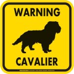 画像3: [MAGSIGN] WARNING CAVALIER マグネット＆ステッカー：キャバリア(ホワイト/イエロー/オレンジ) 注意 英語 正方形 車＆屋外用(防水性/耐光性) 日本製 (3)