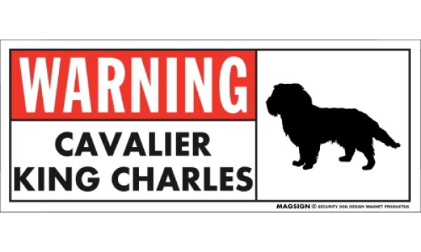 画像1: [MAGSIGN] キャバリアキングチャールズ 注意マグネット＆ステッカー 英語 警戒/警告 WARNING CAVALIER KING CHARLES 対象:車(ドア/ガラス/ボディ)・屋外(玄関扉/窓ガラス/メールポスト) 日本製 (1)