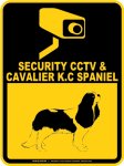 画像2: キャバリアキングチャールズスパニエル＆防犯カメラ 監視 警戒中 英語 マグサイン(マグネット/ステッカー)：SECURITY CCTV ＆ CAVALIER K.C SPANIEL [MAGSIGN] (2)