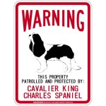 画像1: [MAGSIGN] CAVALIER KING CHARLES SPANIEL 注意 英語 WARNING 警告/保護/警戒 車 屋外用 マグネット＆ステッカー 日本製：キャバリアキングチャールズスパニエル (1)