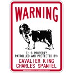 画像2: [MAGSIGN] CAVALIER KING CHARLES SPANIEL 注意 英語 WARNING 警告/保護/警戒 車 屋外用 マグネット＆ステッカー 日本製：キャバリアキングチャールズスパニエル (2)