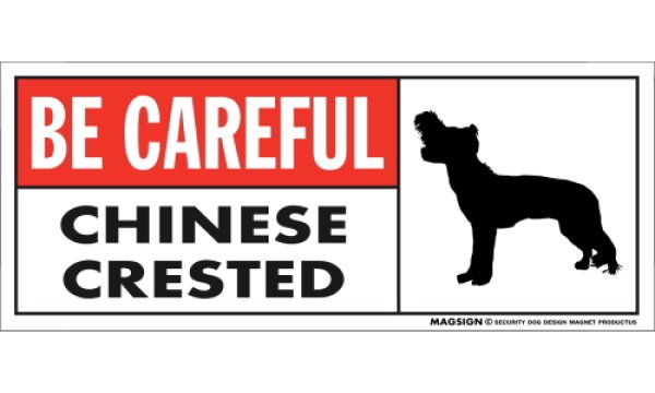 画像1: [MAGSIGN] チャイニーズクレステッド マグネット＆ステッカー (犬)気を付けて 英語 BE CAREFUL CHINESE CRESTED 対象:車(ドア/ガラス/ボディ)・屋外(玄関扉/窓ガラス/メールポスト) 日本製 (1)