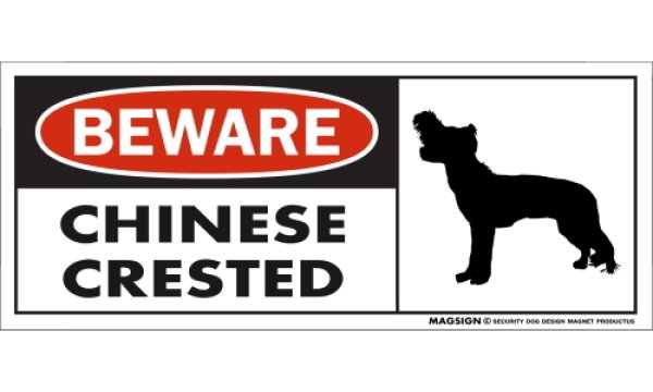 画像1: [MAGSIGN] チャイニーズクレステッド マグネット＆ステッカー 犬 注意 英語 BEWARE CHINESE CRESTED 対象:車(ドア/ガラス/ボディ)・屋外(玄関扉/窓ガラス/メールポスト) 日本製 (1)