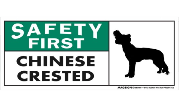 画像1: [MAGSIGN] チャイニーズクレステッド マグネット＆ステッカー 英語 安全第一 SAFETY FIRST CHINESE CRESTED 対象:車(ドア/ガラス/ボディ)・屋外(玄関扉/窓ガラス/メールポスト) 日本製 (1)