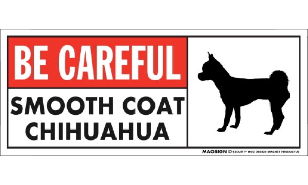 画像1: [MAGSIGN] スムースコートチワワ マグネット＆ステッカー (犬)気を付けて 英語 BE CAREFUL SMOOTH COAT CHIHUAHUA 対象:車(ドア/ガラス/ボディ)・屋外(玄関扉/窓ガラス/メールポスト) 日本製 (1)