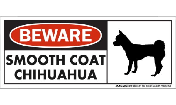 画像1: [MAGSIGN] スムースコートチワワ マグネット＆ステッカー 犬 注意 英語 BEWARE SMOOTH COAT CHIHUAHUA 対象:車(ドア/ガラス/ボディ)・屋外(玄関扉/窓ガラス/メールポスト) 日本製 (1)