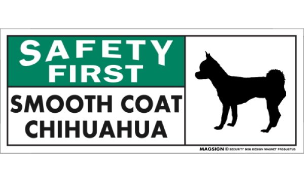 画像1: [MAGSIGN] スムースコートチワワ マグネット＆ステッカー 英語 安全第一 SAFETY FIRST SMOOTH COAT CHIHUAHUA 対象:車(ドア/ガラス/ボディ)・屋外(玄関扉/窓ガラス/メールポスト) 日本製 (1)