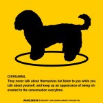 画像2: CHIHUAMAL'S POEM [MAGSIGN] ポエムシリーズ マグネット＆ステッカー 防水/耐水・耐光性 日本製 英語＆シルエット：チワマル（ホワイト/イエロー） (2)