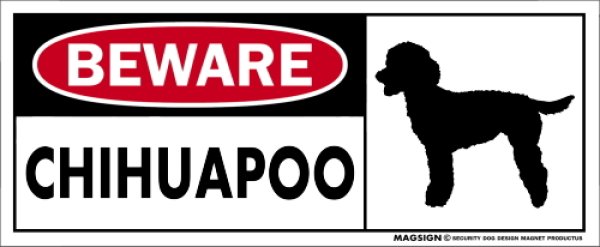 画像1: [MAGSIGN] チワプー マグネット＆ステッカー 犬 注意 英語 BEWARE CHIHUAPOO 対象:車(ドア/ガラス/ボディ)・屋外(玄関扉/窓ガラス/メールポスト) 日本製 (1)