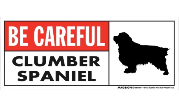 画像1: [MAGSIGN] クランバースパニエル マグネット＆ステッカー (犬)気を付けて 英語 BE CAREFUL CLUMBER SPANIEL 対象:車(ドア/ガラス/ボディ)・屋外(玄関扉/窓ガラス/メールポスト) 日本製 (1)