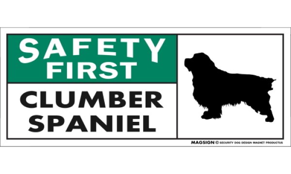 画像1: [MAGSIGN] クランバースパニエル マグネット＆ステッカー 英語 安全第一 SAFETY FIRST CLUMBER SPANIEL 対象:車(ドア/ガラス/ボディ)・屋外(玄関扉/窓ガラス/メールポスト) 日本製 (1)