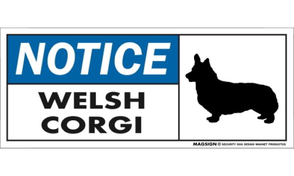 画像1: [MAGSIGN] ウェルシュコーギー マグネット＆ステッカー 英語 お知らせ NOTICE WELSH CORGI 対象:車(ドア/ガラス/ボディ)・屋外(玄関扉/窓ガラス/メールポスト) 日本製 (1)