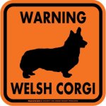 画像4: [MAGSIGN] WARNING WELSH CORGI マグネット＆ステッカー：ウェルシュコーギー(ホワイト/イエロー/オレンジ) 注意 英語 正方形 車＆屋外用(防水性/耐光性) 日本製 (4)