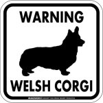 画像2: [MAGSIGN] WARNING WELSH CORGI マグネット＆ステッカー：ウェルシュコーギー(ホワイト/イエロー/オレンジ) 注意 英語 正方形 車＆屋外用(防水性/耐光性) 日本製 (2)