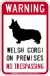 画像1: [MAGSIGN] ウェルシュコーギー 警戒 英語 立入禁止 マグネット＆ステッカー WARNING WELSH CORGI ON PREMISES NO TRESPASSING 車/屋外用 日本製 (1)