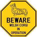 画像2: [MAGSIGN] ウェルシュコーギー 注意 英語 英文 ローマ字 オペレーション中 動作中 オクタゴン(八角形)マグネット＆ステッカー BEWARE WELSH CORGI IN OPERATION 車/屋外用 日本製 (2)