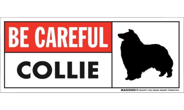 画像1: [MAGSIGN] コリー マグネット＆ステッカー (犬)気を付けて 英語 BE CAREFUL COLLIE 対象:車(ドア/ガラス/ボディ)・屋外(玄関扉/窓ガラス/メールポスト) 日本製 (1)