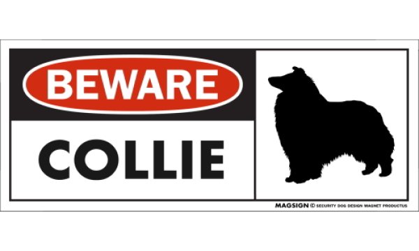 画像1: [MAGSIGN] コリー マグネット＆ステッカー 犬 注意 英語 BEWARE COLLIE 対象:車(ドア/ガラス/ボディ)・屋外(玄関扉/窓ガラス/メールポスト) 日本製 (1)