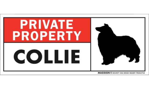 画像1: [MAGSIGN] コリー マグネット＆ステッカー 犬 英語 私的所有権・プライベート PRIVATE PROPERTY COLLIE 対象:車(ドア/ガラス/ボディ)・屋外(玄関扉/窓ガラス/メールポスト) 日本製 (1)