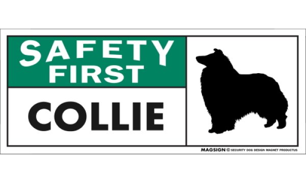 画像1: [MAGSIGN] コリー マグネット＆ステッカー 英語 安全第一 SAFETY FIRST COLLIE 対象:車(ドア/ガラス/ボディ)・屋外(玄関扉/窓ガラス/メールポスト) 日本製 (1)