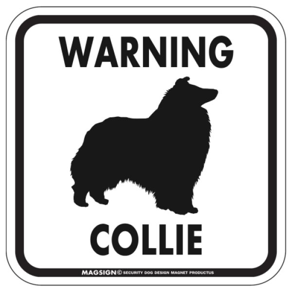 画像1: [MAGSIGN] WARNING COLLIE マグネット＆ステッカー：コリー(ホワイト/イエロー/オレンジ) 注意 英語 正方形 車＆屋外用(防水性/耐光性) 日本製 (1)