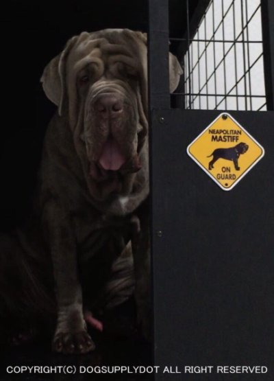 画像2: アイリッシュウルフハウンド警戒中 英語サインプレート アメリカ輸入看板 アルミ素材：IRISH WOLFHOUND ON GUARD[MADE IN U.S.A]