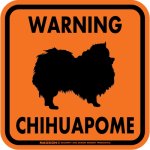 画像3: [MAGSIGN] WARNING CHIHUAPOME マグネット＆ステッカー：チワポメ(ホワイト/イエロー/オレンジ) 注意 英語 正方形 車＆屋外用(防水性/耐光性) 日本製 (3)