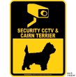 画像3: ケアーンテリア＆防犯カメラ 監視 警戒中 英語 マグサイン(マグネット/ステッカー)：SECURITY CCTV ＆ CAIRN TERRIER [MAGSIGN] (3)