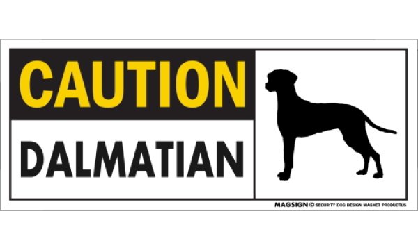 画像1: [MAGSIGN] ダルメシアン マグネット＆ステッカー 英語 警戒 CAUTION DALMATIAN 対象:車(ドア/ガラス/ボディ)・屋外(玄関扉/窓ガラス/メールポスト) 日本製 (1)