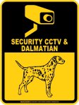 画像2: ダルメシアン＆防犯カメラ 監視 警戒中 英語 マグサイン(マグネット/ステッカー)：SECURITY CCTV ＆ DALMATIAN [MAGSIGN] (2)