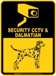 画像3: ダルメシアン＆防犯カメラ 監視 警戒中 英語 マグサイン(マグネット/ステッカー)：SECURITY CCTV ＆ DALMATIAN [MAGSIGN] (3)