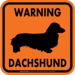 画像4: [MAGSIGN] WARNING DACHSHUND マグネット＆ステッカー：ミニチュアダックスフンド(ホワイト/イエロー/オレンジ) 注意 英語 正方形 車＆屋外用(防水性/耐光性) 日本製 (4)