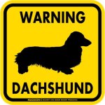 画像3: [MAGSIGN] WARNING DACHSHUND マグネット＆ステッカー：ミニチュアダックスフンド(ホワイト/イエロー/オレンジ) 注意 英語 正方形 車＆屋外用(防水性/耐光性) 日本製 (3)
