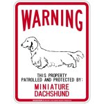 画像1: [MAGSIGN] MINIATURE DACHSHUND 注意 英語 WARNING 警告/保護/警戒 車 屋外用 マグネット＆ステッカー 日本製：ミニチュアダックスフンド (1)