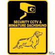 画像2: ミニチュアダックスフンド＆防犯カメラ 監視 警戒中 英語 マグサイン(マグネット/ステッカー)：SECURITY CCTV ＆ MINIATURE DACHSHUND [MAGSIGN] (2)