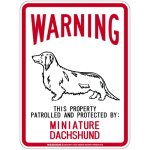 画像2: [MAGSIGN] MINIATURE DACHSHUND 注意 英語 WARNING 警告/保護/警戒 車 屋外用 マグネット＆ステッカー 日本製：ミニチュアダックスフンド (2)