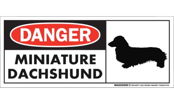 画像1: [MAGSIGN] ミニチュアダックスフンド マグネット＆ステッカー 英語 危ない 危険 DANGER MINIATURE DACHSHUND 対象:車(ドア/ガラス/ボディ)・屋外(玄関扉/窓ガラス/メールポスト) 日本製 (1)