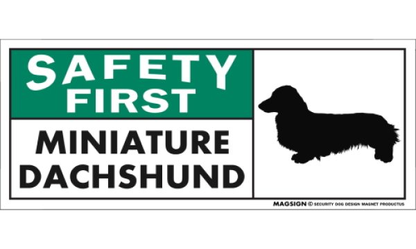 画像1: [MAGSIGN] ミニチュアダックスフンド マグネット＆ステッカー 英語 安全第一 SAFETY FIRST MINIATURE DACHSHUND 対象:車(ドア/ガラス/ボディ)・屋外(玄関扉/窓ガラス/メールポスト) 日本製 (1)