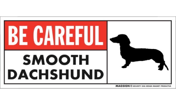 画像1: [MAGSIGN] スムースダックスフンド マグネット＆ステッカー (犬)気を付けて 英語 BE CAREFUL SMOOTH DACHSHUND 対象:車(ドア/ガラス/ボディ)・屋外(玄関扉/窓ガラス/メールポスト) 日本製 (1)